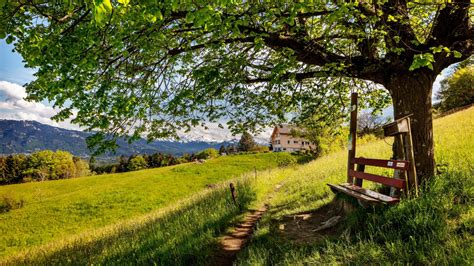 wanderwege appenzell|Appenzell Ausserrhoder Wanderwege